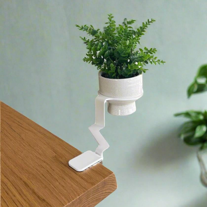 Plant holder