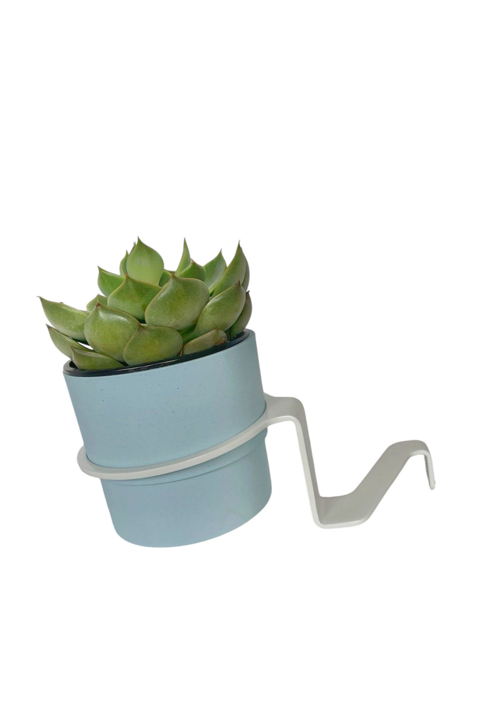 Plant holder for desk clamp